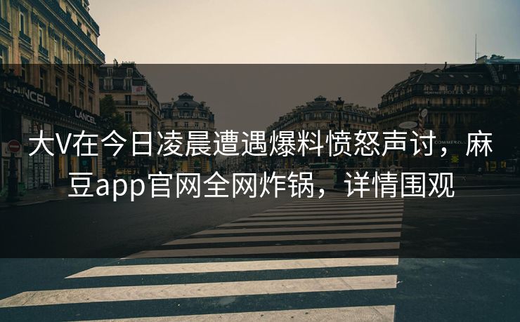 大V在今日凌晨遭遇爆料愤怒声讨，麻豆app官网全网炸锅，详情围观