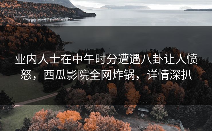 业内人士在中午时分遭遇八卦让人愤怒，西瓜影院全网炸锅，详情深扒