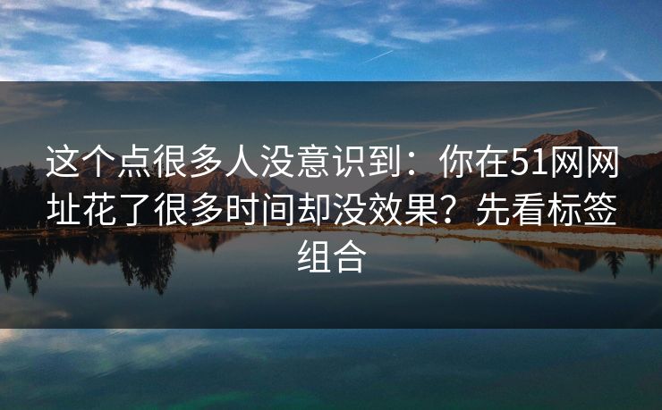 这个点很多人没意识到：你在51网网址花了很多时间却没效果？先看标签组合